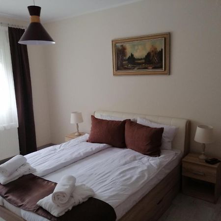 Appartement Apartman Zi-Zo à Vrsac Extérieur photo