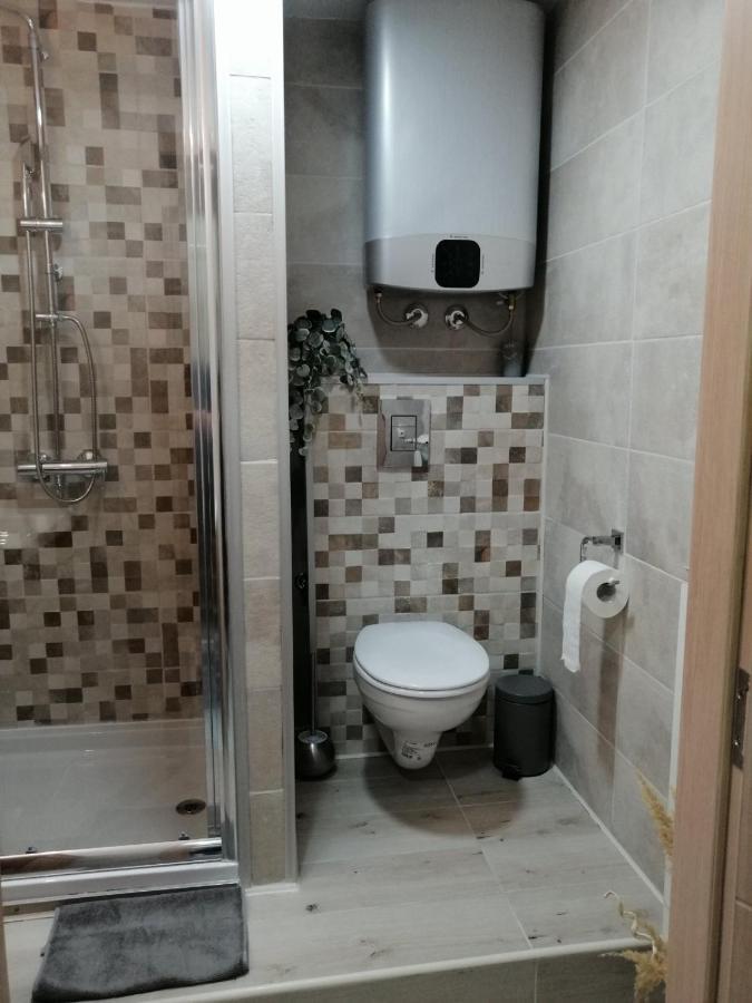 Appartement Apartman Zi-Zo à Vrsac Extérieur photo