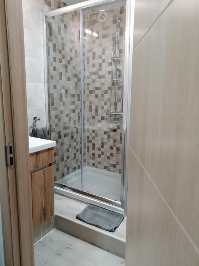 Appartement Apartman Zi-Zo à Vrsac Extérieur photo