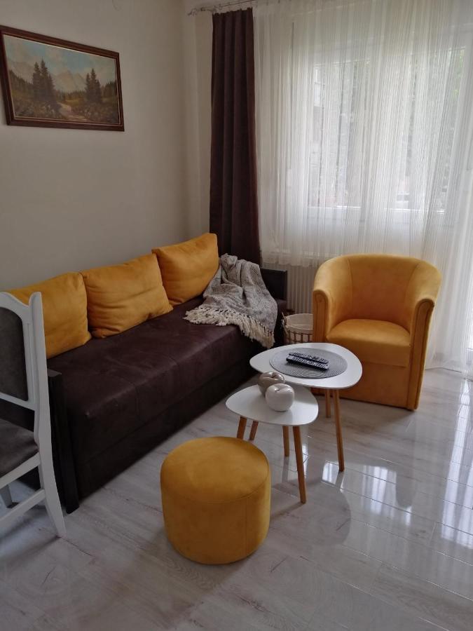 Appartement Apartman Zi-Zo à Vrsac Extérieur photo