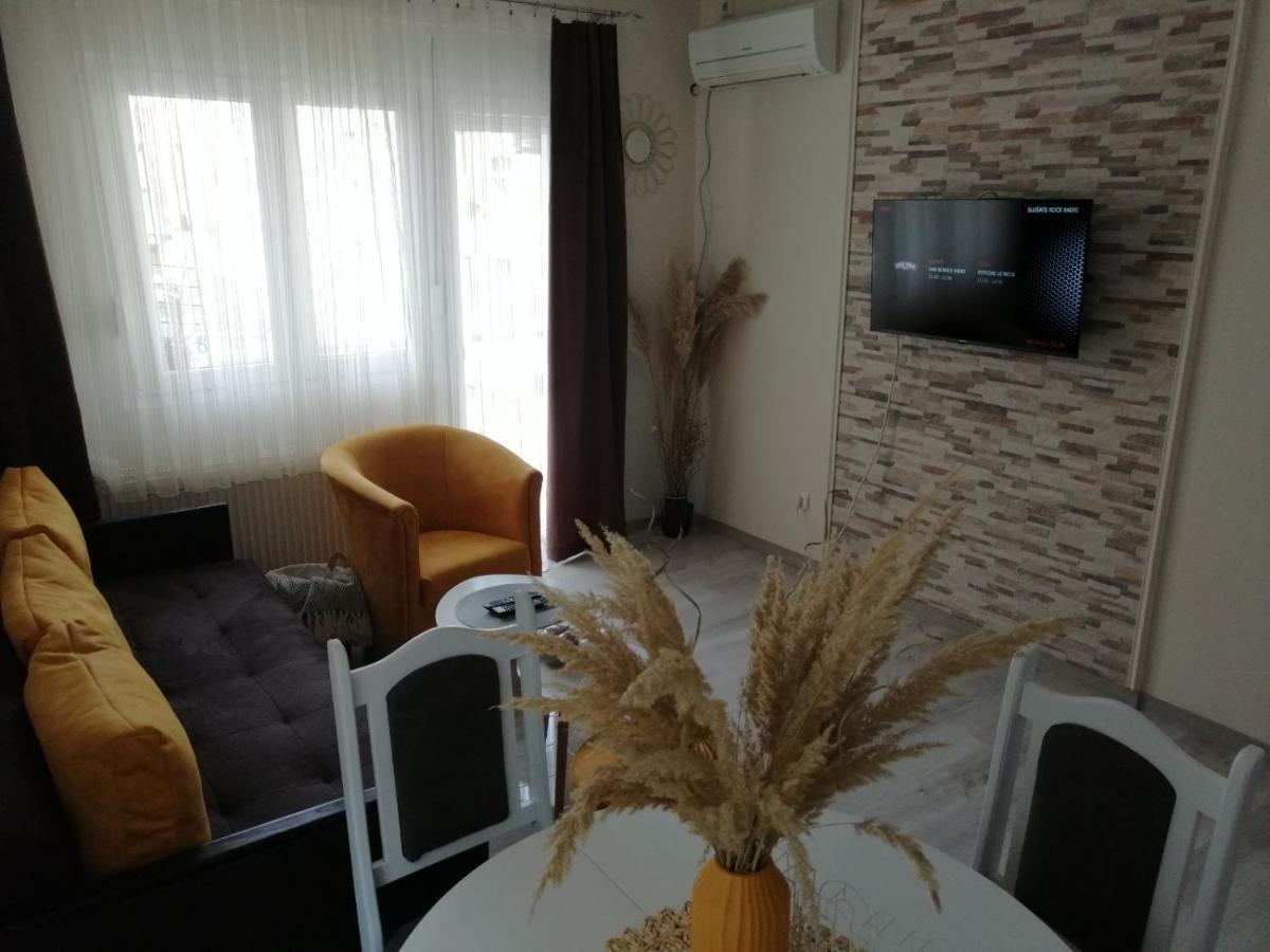 Appartement Apartman Zi-Zo à Vrsac Extérieur photo