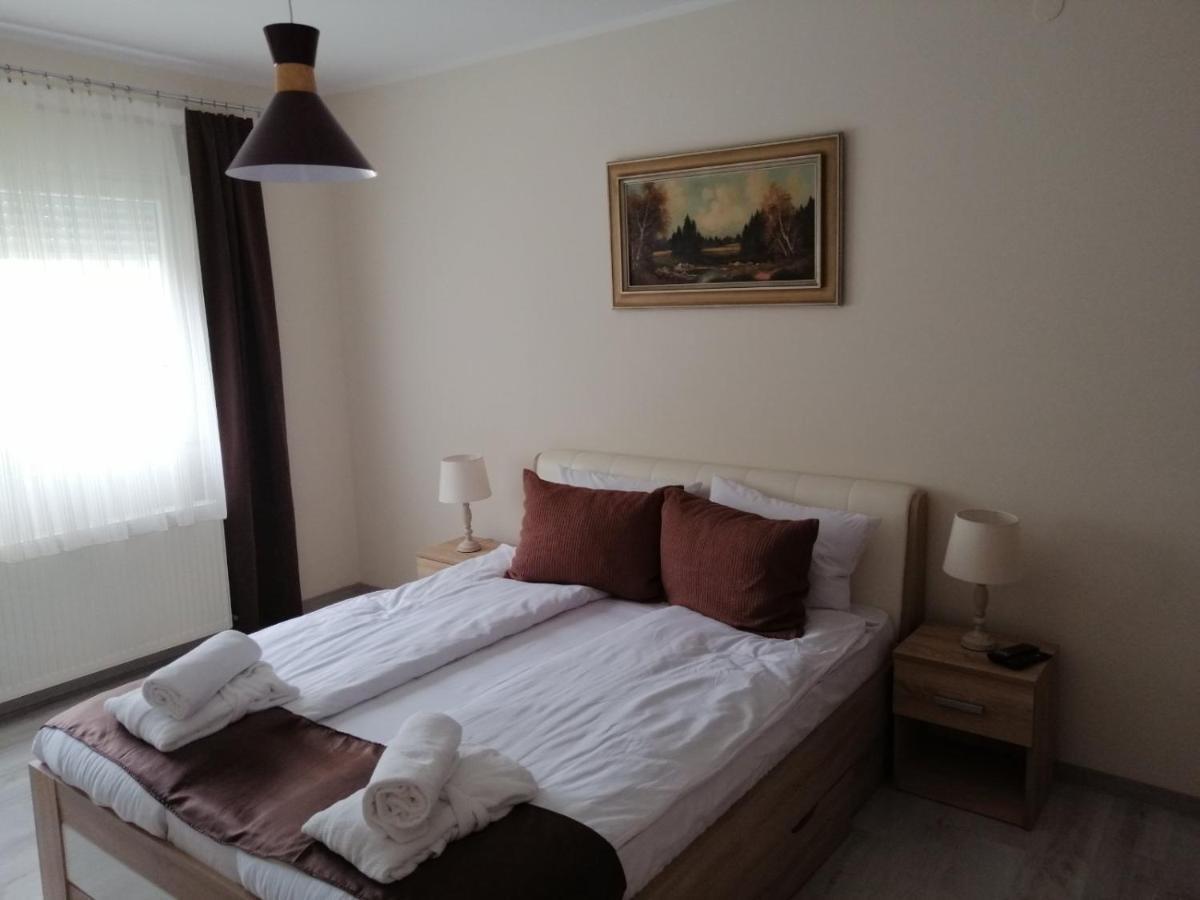 Appartement Apartman Zi-Zo à Vrsac Extérieur photo