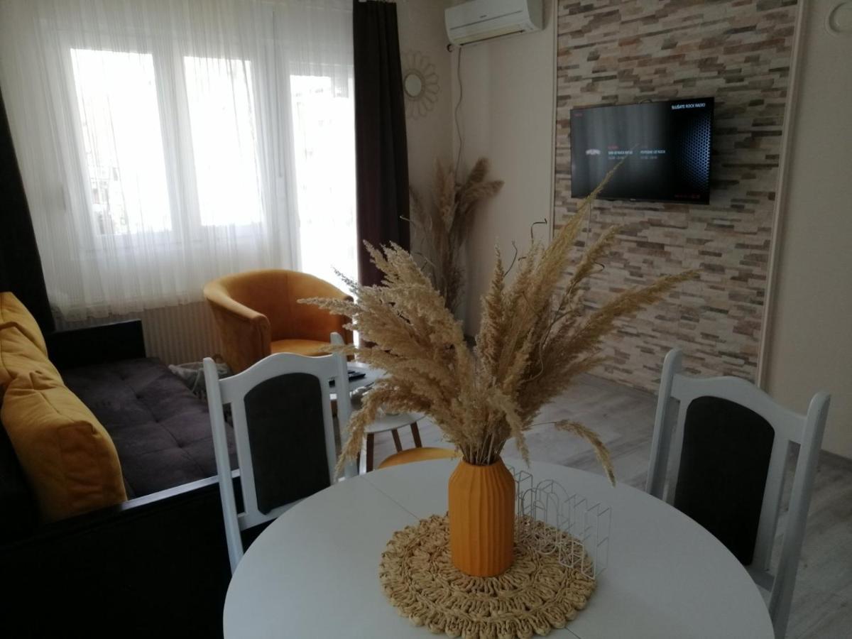 Appartement Apartman Zi-Zo à Vrsac Extérieur photo