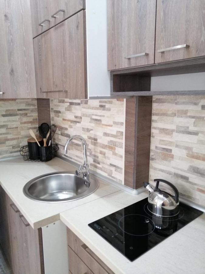 Appartement Apartman Zi-Zo à Vrsac Extérieur photo