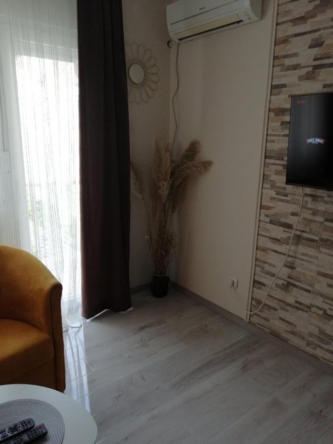 Appartement Apartman Zi-Zo à Vrsac Extérieur photo