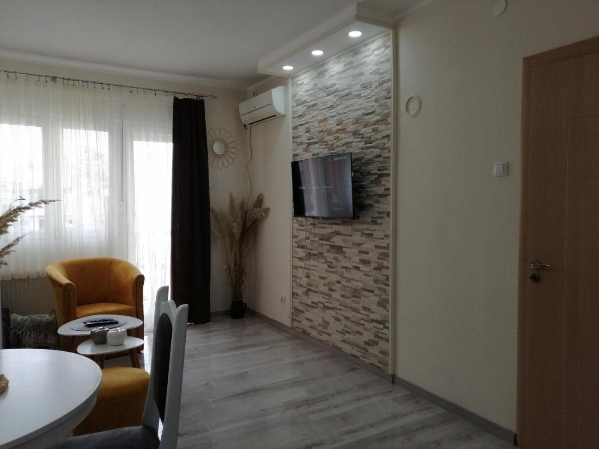 Appartement Apartman Zi-Zo à Vrsac Extérieur photo