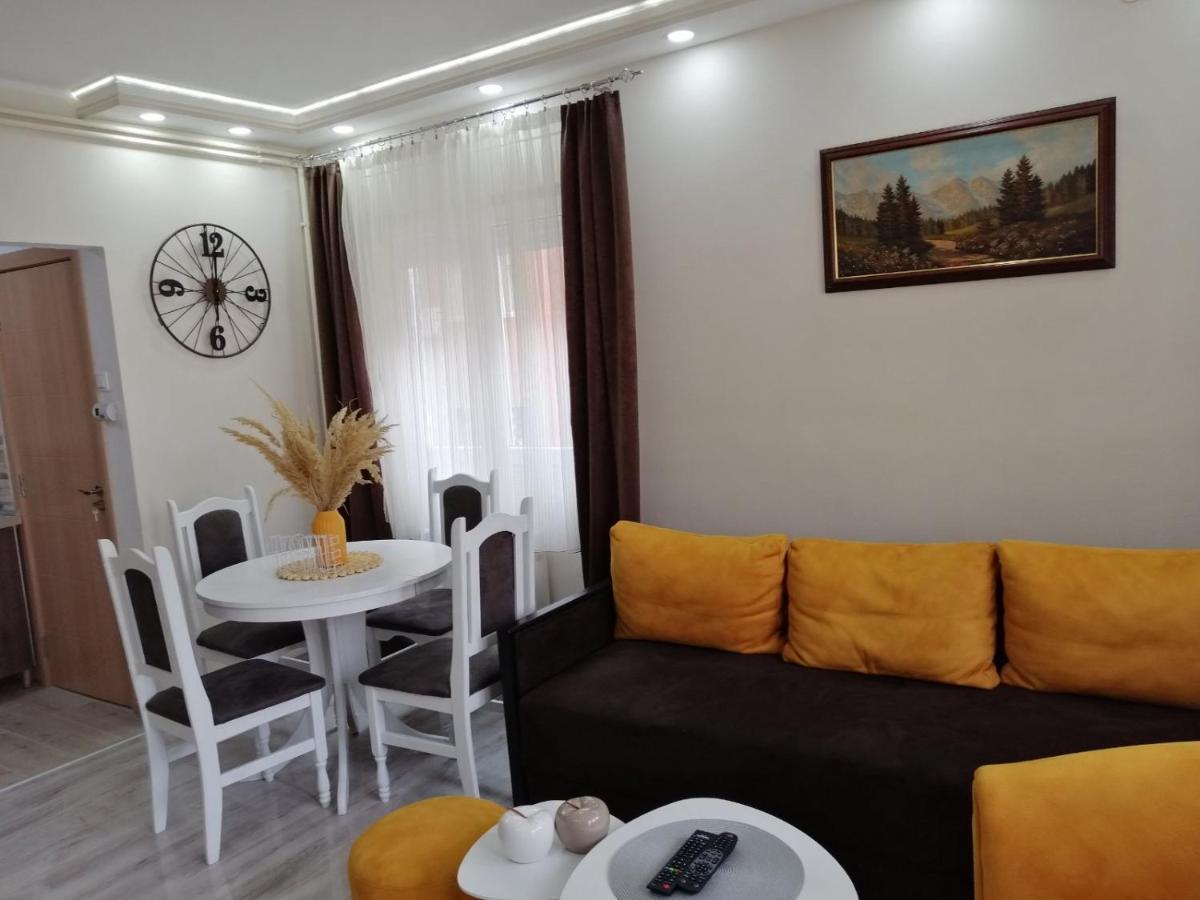 Appartement Apartman Zi-Zo à Vrsac Extérieur photo